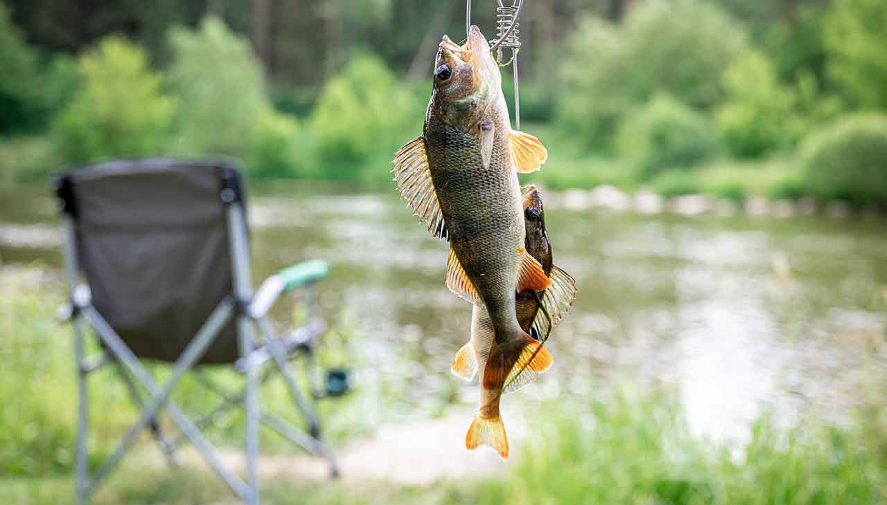 Discover the Heartland’s Hidden Treasures in Hunting and Fishing