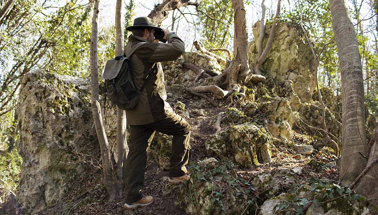 The Hidden Treasures of Nature: Wild Foraging in the Midwest